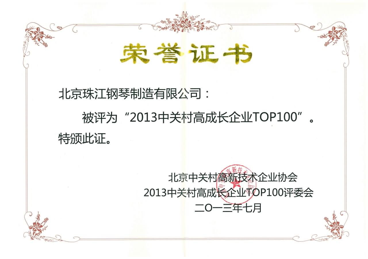 2013年中关村高成长企业TOP100
